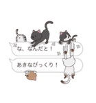 【あきな】猫だらけの吹き出し（個別スタンプ：20）