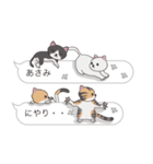 【あさみ】猫だらけの吹き出し（個別スタンプ：35）