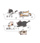 【あずさ】猫だらけの吹き出し（個別スタンプ：9）