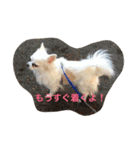 maromaro days.（個別スタンプ：5）