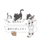 【あやこ】猫だらけの吹き出し（個別スタンプ：20）