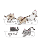 【あゆ】猫だらけの吹き出し（個別スタンプ：4）