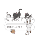 【あゆ】猫だらけの吹き出し（個別スタンプ：20）