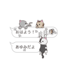 【あゆみ】猫だらけの吹き出し（個別スタンプ：1）