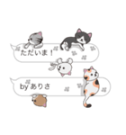 【ありさ】猫だらけの吹き出し（個別スタンプ：23）