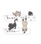 【あんな】猫だらけの吹き出し（個別スタンプ：3）