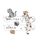 【あんな】猫だらけの吹き出し（個別スタンプ：30）