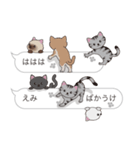 【えみ】猫だらけの吹き出し（個別スタンプ：38）