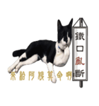 Lucy's（個別スタンプ：7）