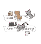 【えりか】猫だらけの吹き出し（個別スタンプ：38）