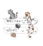 【かずこ】猫だらけの吹き出し（個別スタンプ：30）