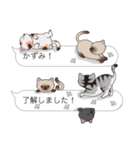 【かずみ】猫だらけの吹き出し（個別スタンプ：17）