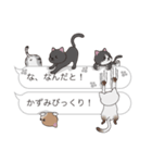 【かずみ】猫だらけの吹き出し（個別スタンプ：20）