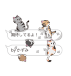 【かずみ】猫だらけの吹き出し（個別スタンプ：30）