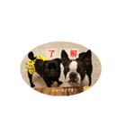 犬のおさかな兄妹（個別スタンプ：10）