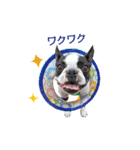犬のおさかな兄妹（個別スタンプ：18）