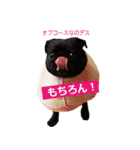 犬のおさかな兄妹（個別スタンプ：19）