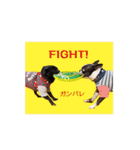 犬のおさかな兄妹（個別スタンプ：20）