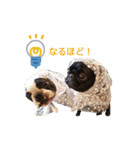 犬のおさかな兄妹（個別スタンプ：28）