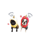 犬のおさかな兄妹（個別スタンプ：30）
