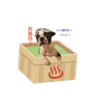 犬のおさかな兄妹（個別スタンプ：38）