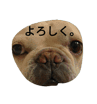 (^_^)@（個別スタンプ：12）