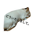 (^_^)@（個別スタンプ：13）