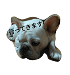 (^_^)@（個別スタンプ：14）