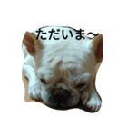(^_^)@（個別スタンプ：15）