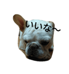 (^_^)@（個別スタンプ：20）