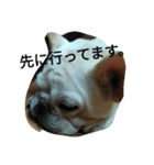 (^_^)@（個別スタンプ：25）