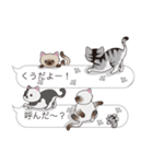 【くう】猫だらけの吹き出し（個別スタンプ：11）