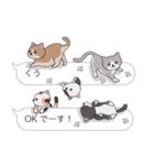 【くう】猫だらけの吹き出し（個別スタンプ：13）