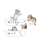 【くう】猫だらけの吹き出し（個別スタンプ：15）