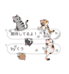 【くう】猫だらけの吹き出し（個別スタンプ：30）