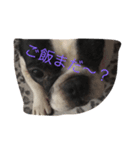 Peeme（個別スタンプ：5）