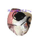 Peeme（個別スタンプ：8）