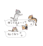 【こなつ】猫だらけの吹き出し（個別スタンプ：15）