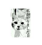 しょとら 2（個別スタンプ：3）