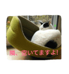 しょとら 2（個別スタンプ：14）
