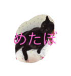 りらともも（個別スタンプ：14）