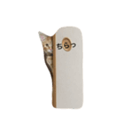 茶トラ猫の挨拶スタンプ（個別スタンプ：6）