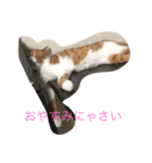 catkf（個別スタンプ：3）