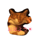 catkf（個別スタンプ：7）