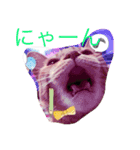 nekonana288（個別スタンプ：4）