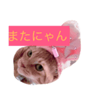 nekonana288（個別スタンプ：6）