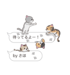 【さほ】猫だらけの吹き出し（個別スタンプ：15）