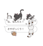 【さや】猫だらけの吹き出し（個別スタンプ：20）