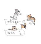 【しの】猫だらけの吹き出し（個別スタンプ：15）