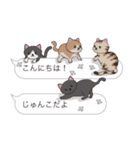 【じゅんこ】猫だらけの吹き出し（個別スタンプ：2）